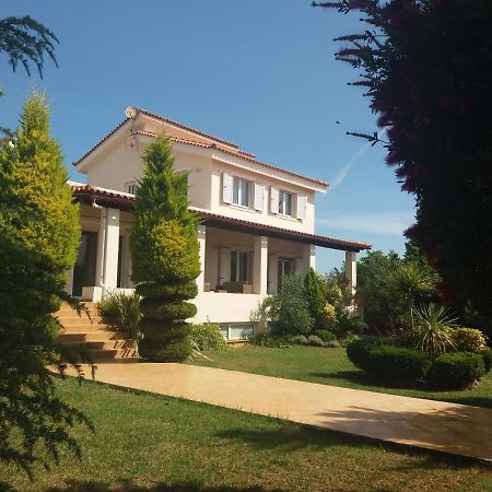 Beautiful Summer Villa In Chalkoutsi Khalkoutsion Esterno foto