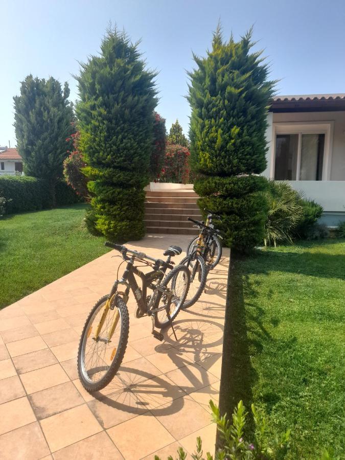 Beautiful Summer Villa In Chalkoutsi Khalkoutsion Esterno foto