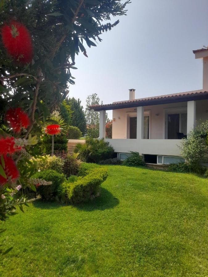 Beautiful Summer Villa In Chalkoutsi Khalkoutsion Esterno foto