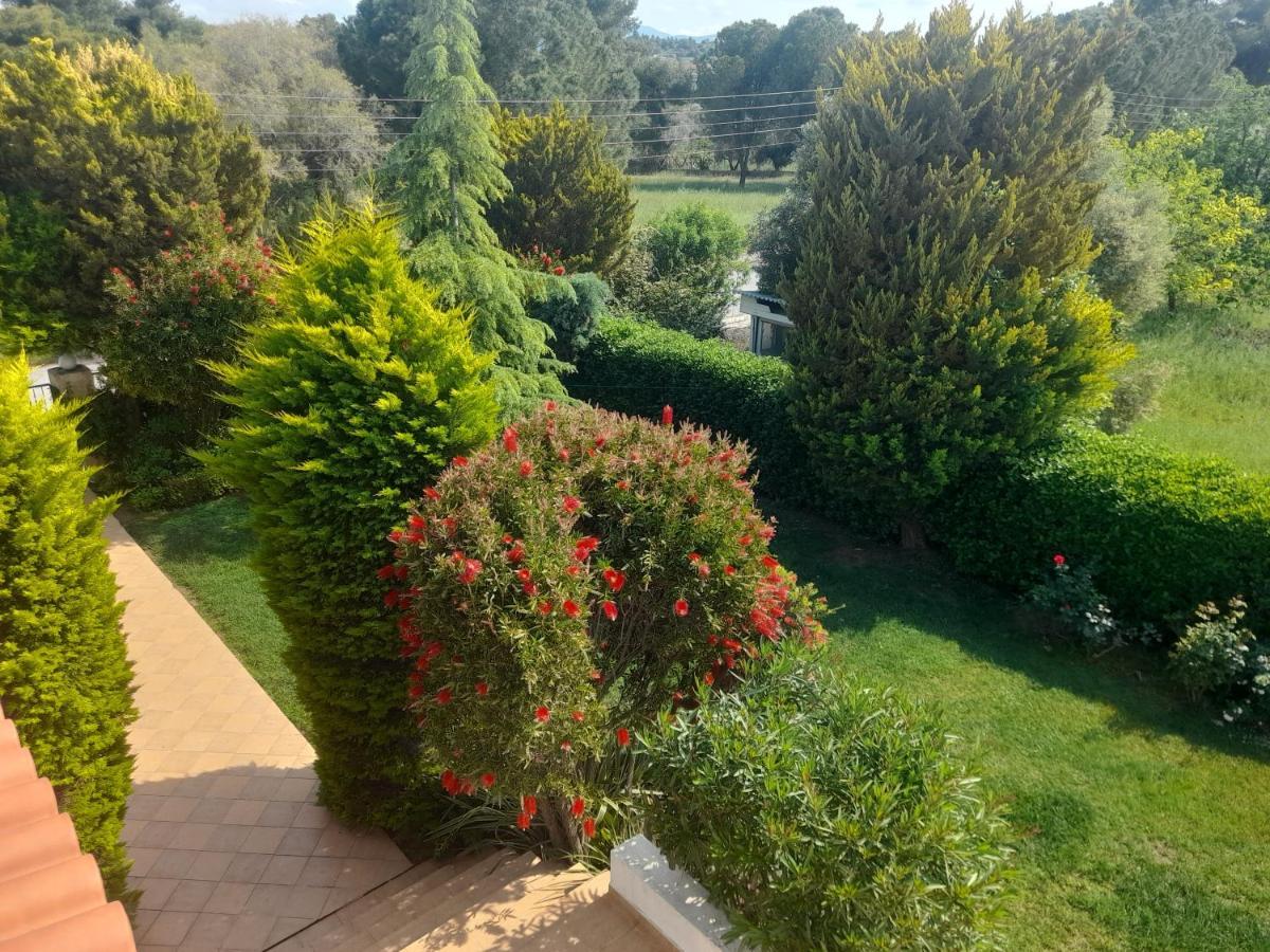 Beautiful Summer Villa In Chalkoutsi Khalkoutsion Esterno foto
