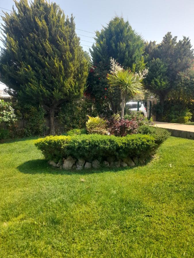Beautiful Summer Villa In Chalkoutsi Khalkoutsion Esterno foto