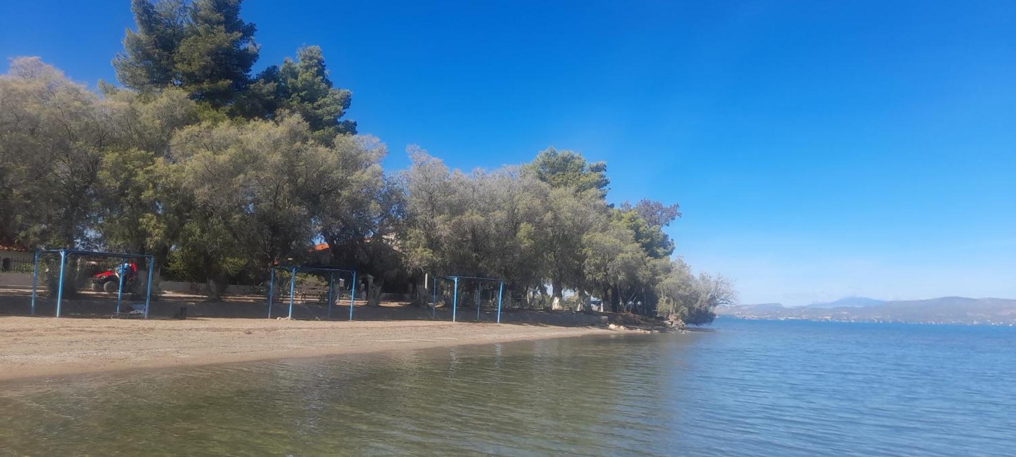 Beautiful Summer Villa In Chalkoutsi Khalkoutsion Esterno foto