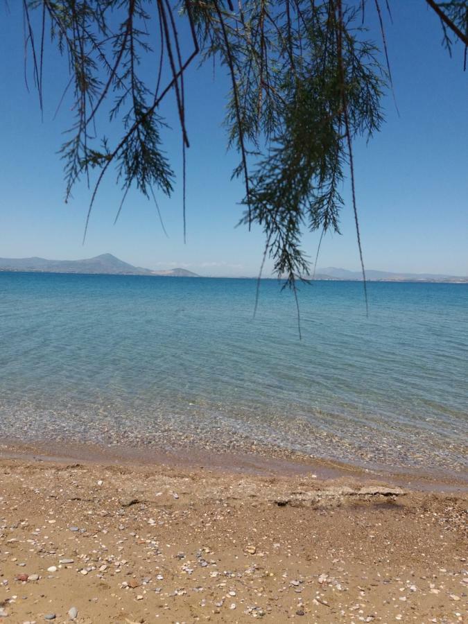 Beautiful Summer Villa In Chalkoutsi Khalkoutsion Esterno foto