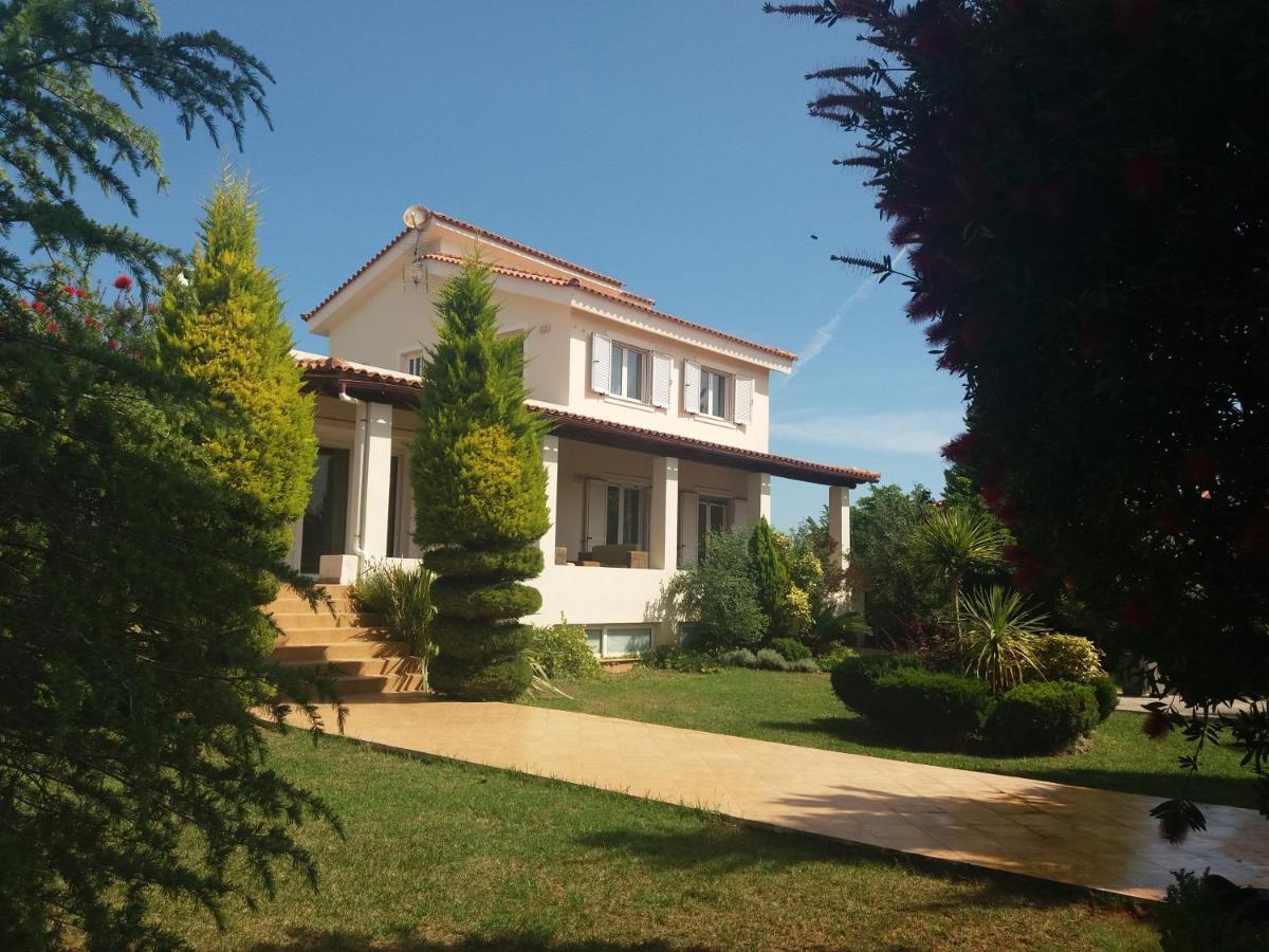 Beautiful Summer Villa In Chalkoutsi Khalkoutsion Esterno foto