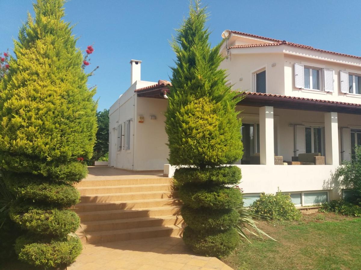 Beautiful Summer Villa In Chalkoutsi Khalkoutsion Esterno foto