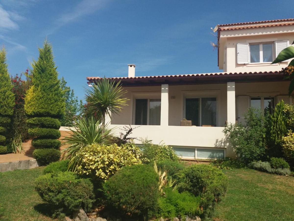 Beautiful Summer Villa In Chalkoutsi Khalkoutsion Esterno foto