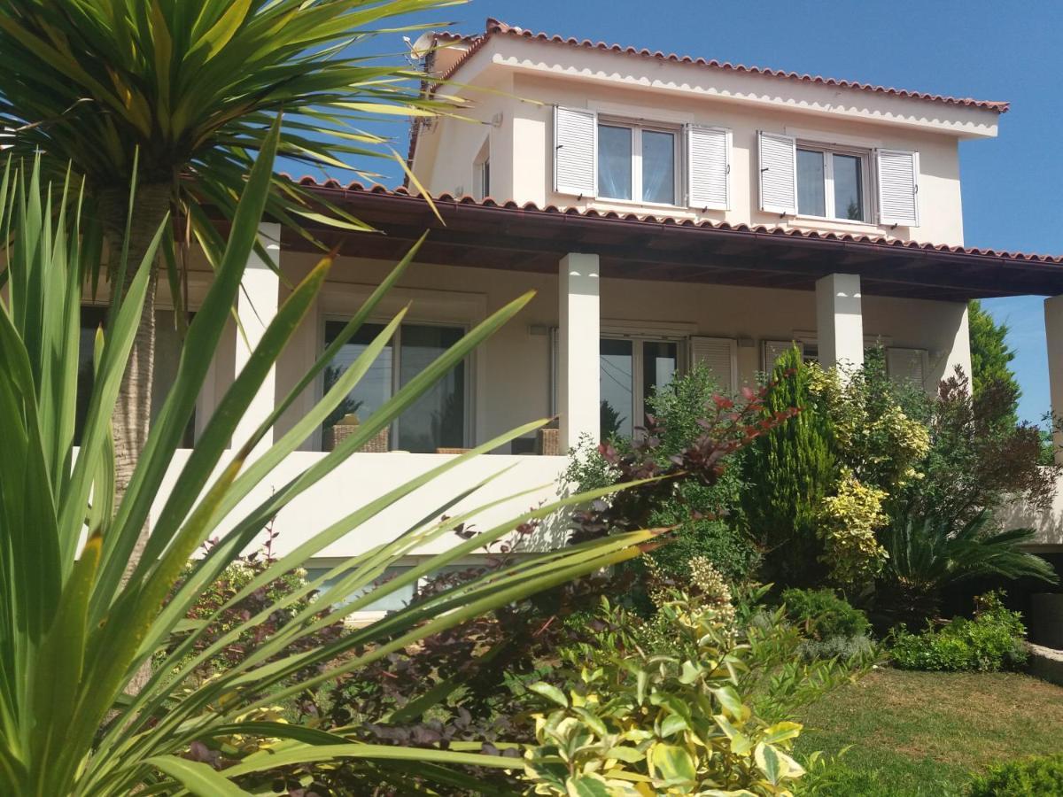 Beautiful Summer Villa In Chalkoutsi Khalkoutsion Esterno foto
