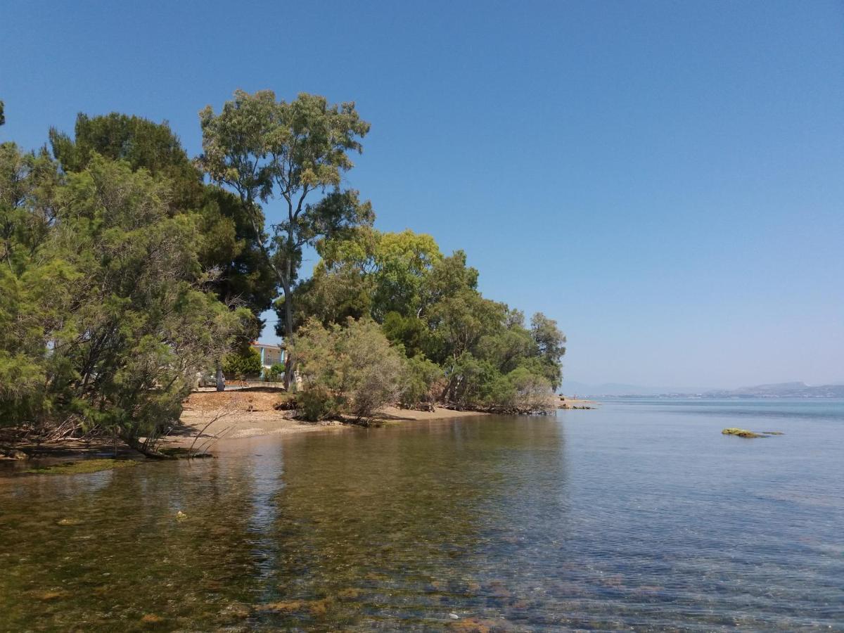 Beautiful Summer Villa In Chalkoutsi Khalkoutsion Esterno foto