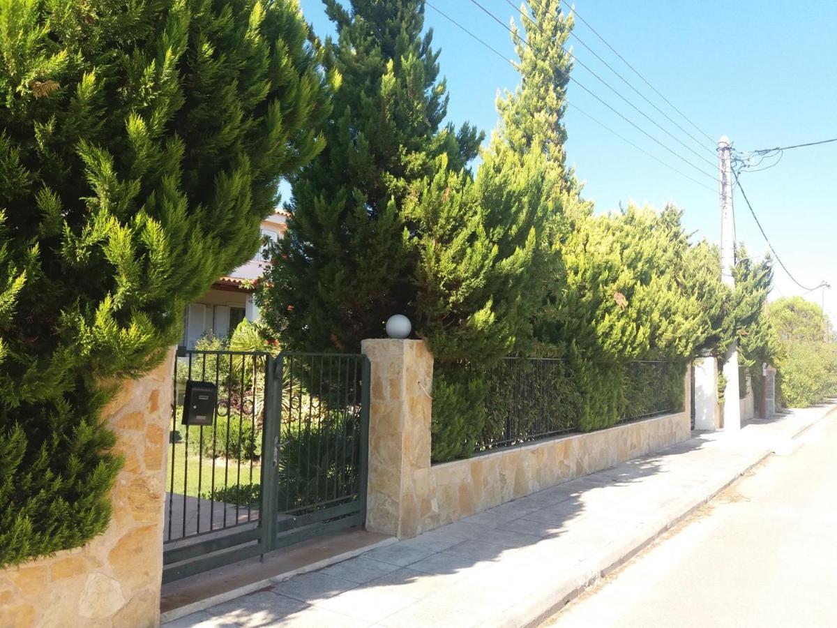 Beautiful Summer Villa In Chalkoutsi Khalkoutsion Esterno foto