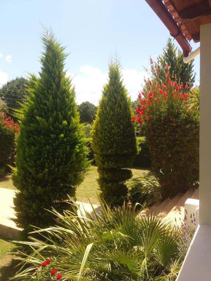 Beautiful Summer Villa In Chalkoutsi Khalkoutsion Esterno foto