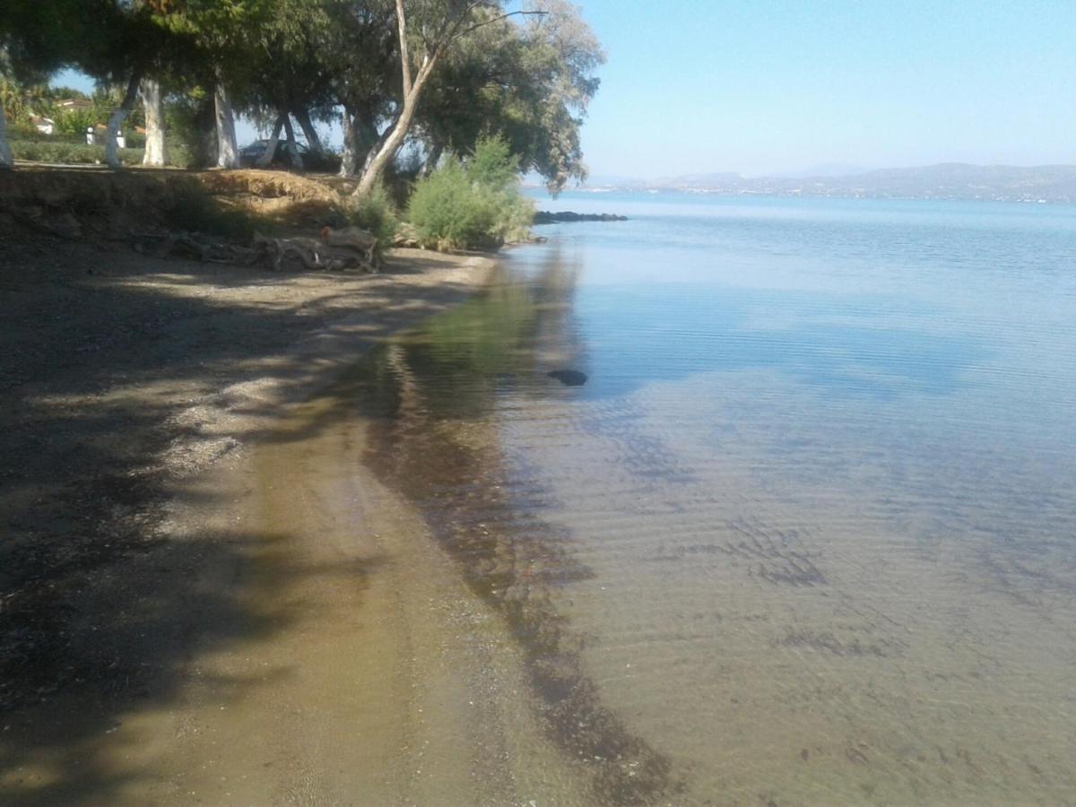 Beautiful Summer Villa In Chalkoutsi Khalkoutsion Esterno foto