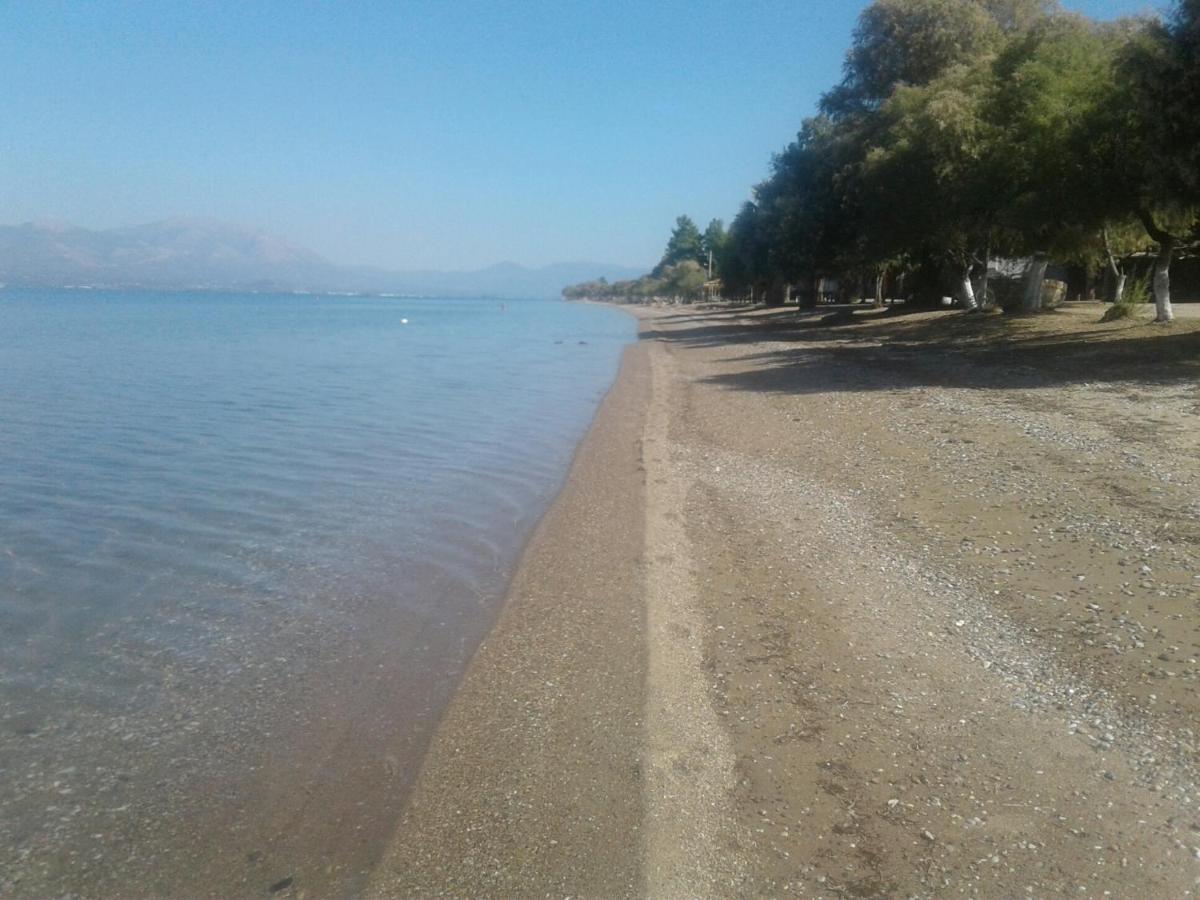 Beautiful Summer Villa In Chalkoutsi Khalkoutsion Esterno foto